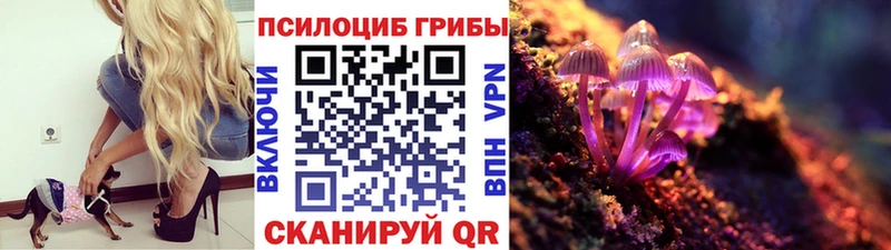 Галлюциногенные грибы MAGIC MUSHROOMS  как найти закладки  Горнозаводск 